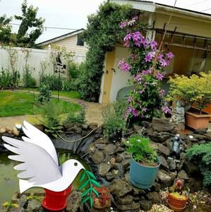 Meet your Posher, Celso r